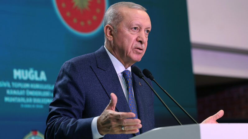 Cumhurbaşkanı Erdoğan: Türkiye iktisadı son 22 yılda büyük bir dönüşüm geçirdi   