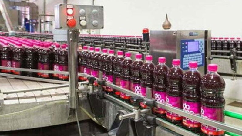 Doğanay Besin: Hiçbir fabrikamızı satmadık