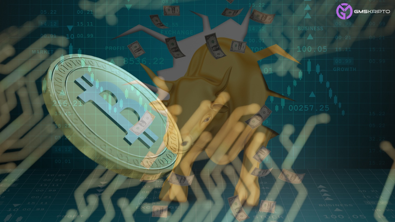 GMSKRIPTO: “Boğa dönemi riskleri yatırımcıları tehdit ediyor”