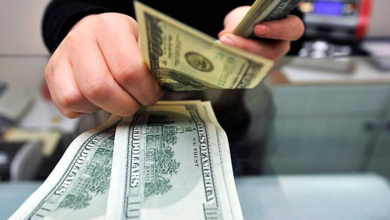 Merkez Bankası’nın bu hafta dövizi arttı, altını azaldı