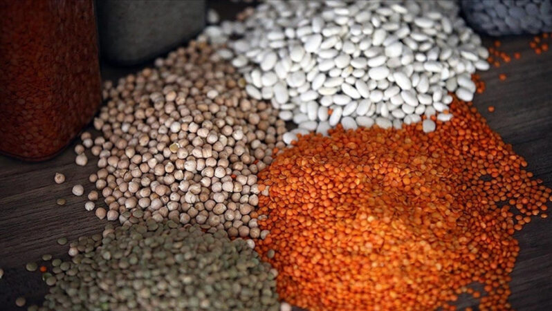 TÜİK 2024 datalarını açıkladı: Bitkisel üretim tarla eserlerinde azaldı, meyve ve sebzede arttı