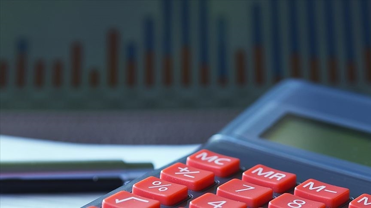 2024 Aralık Hizmet Üretici Fiyat Endeksi (H-ÜFE) Verileri Açıklandı