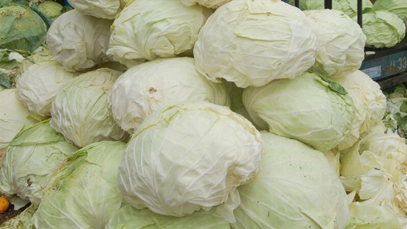 2024’ün artırım şampiyonu muhakkak oldu!