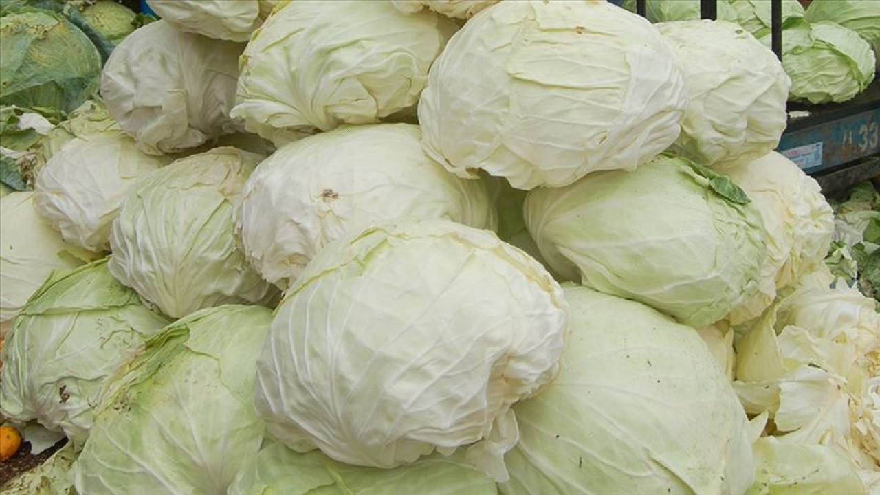 2024’ün artırım şampiyonu muhakkak oldu!