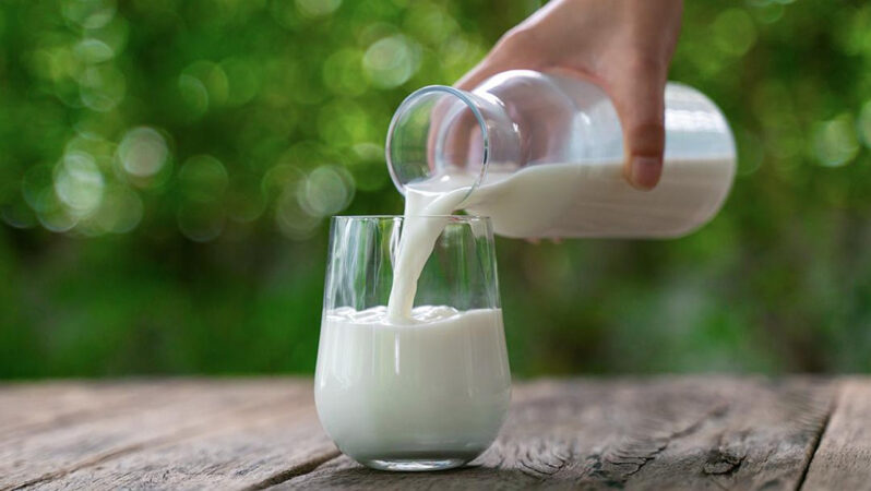 Birşah Sütlerinde şok tespit! Danone toplatma kararı aldı