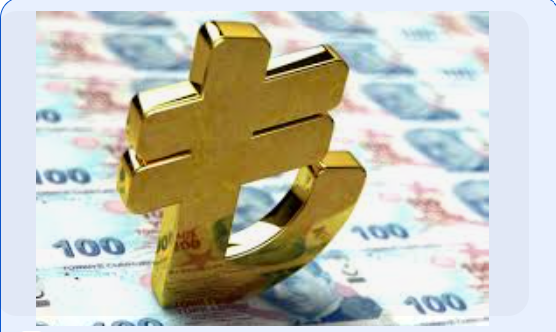 Carry trade kaynaklı çok TL bolluğunda piyasa merkezin müdahalesini bekliyor