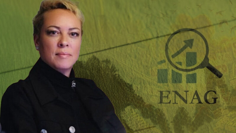 Enflasyon bilgileri emniyetli mi? İris Cibre’den ENAG eleştirisi: ‘Kendi ayağımıza sıkıyoruz!’