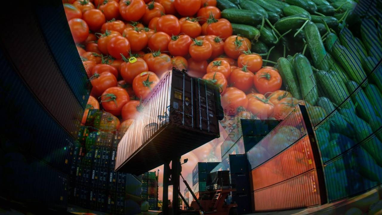 Tarım kesimi tüm vakitlerin en yüksek yıllık ihracatına imza attı