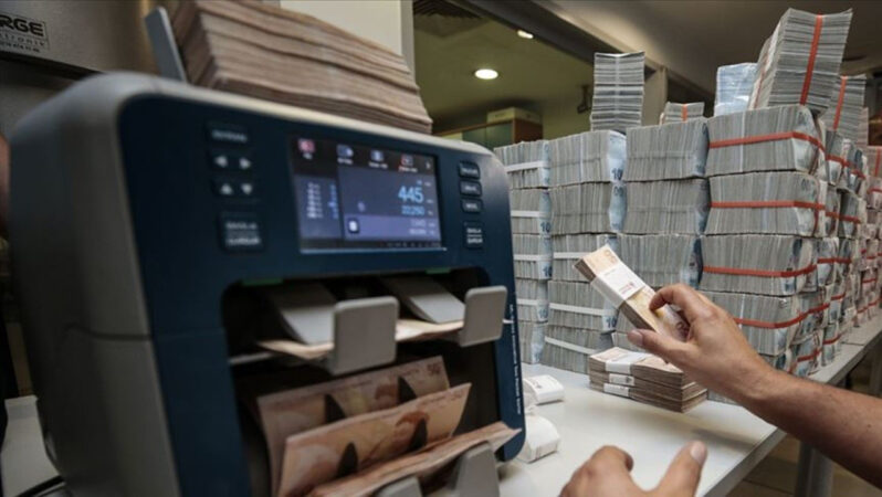 Türk Bankacılık Sektörünün 2024 Aralık Raporu