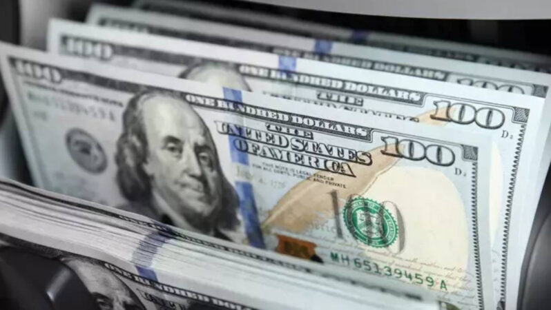 Türkiye’de döviz cinsi varlıklara tarihi ilgi! Net varlık edinimi rekor düzeye yükseldi