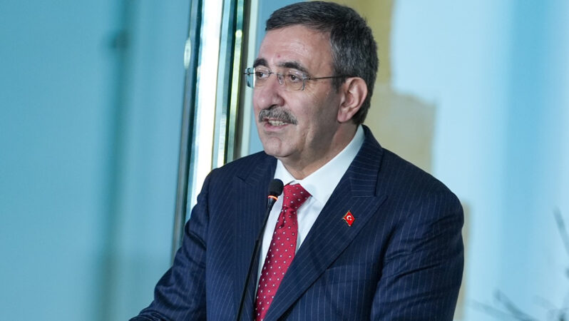 AGİT Parlamenter Diplomasi Üzerine Görüşme