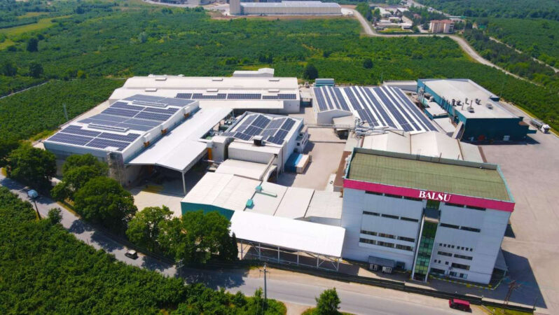 Balsu Gıda Sanayi ve Ticaret AŞ Halka Arzı Onaylandı