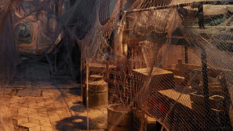 CarrefourSA “Hayalet Ağlar” projesiyle kıyı balıkçılığında farkındalığı artırmayı amaçlıyor