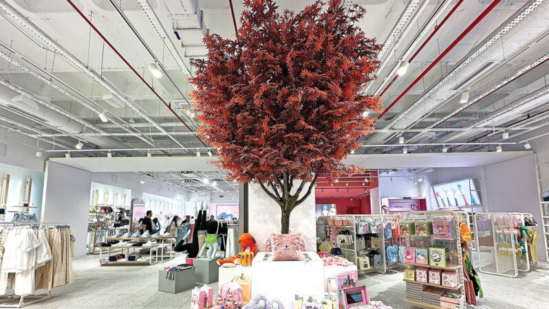 Ecrou’nun 2025 Büyüme Stratejileri ve Hedefleri