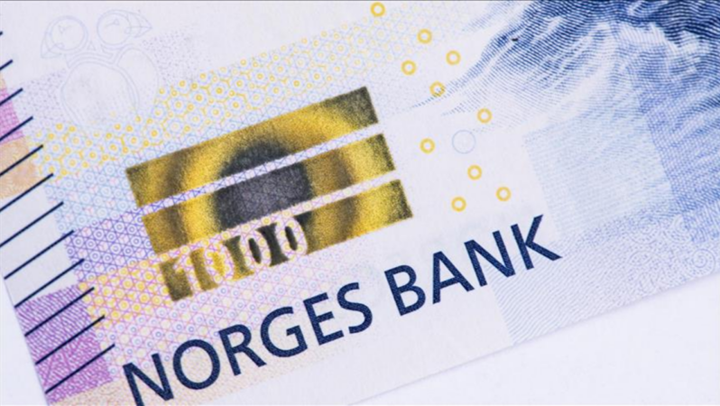 Norveç Varlık Fonu’nun Türkiye’ye Yatırımları Rekor Seviyeye Ulaştı