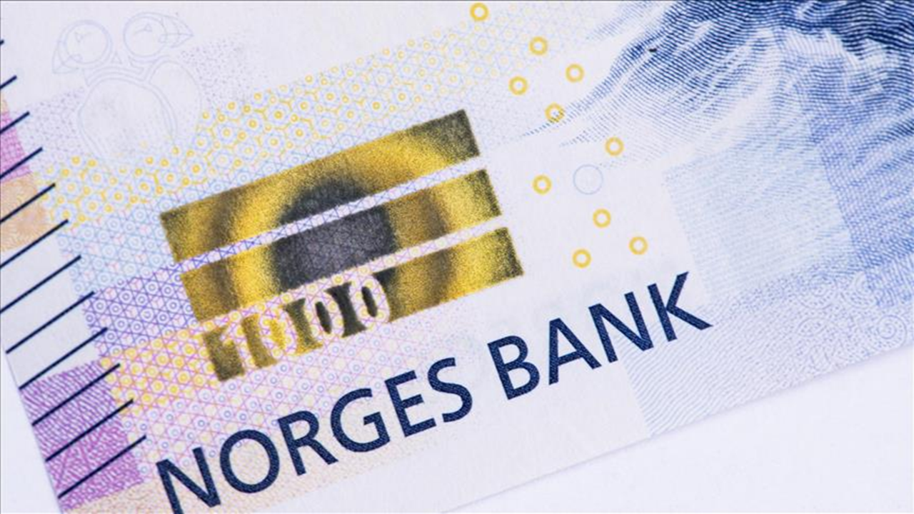 Norveç Varlık Fonu’nun Türkiye’ye Yatırımları Rekor Seviyeye Ulaştı