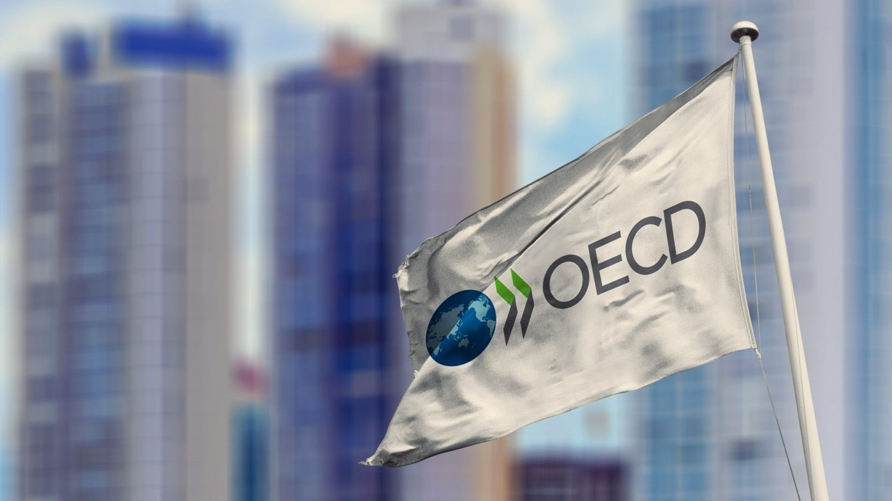 OECD: Türkiye, en süratli büyüyen ikinci ülke oldu