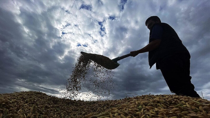 Tarımsal Destekleme Ödemeleri 2.16 Milyar Lira Olarak Açıklandı