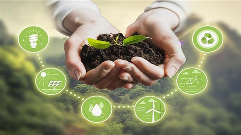 Kırsal kalkınma hibeleriyle 2024 yılında 15,52 milyar liralık yatırım yapıldı