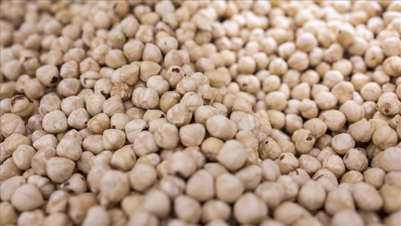 Ticaret borsalarında binlerce ton fındık süreç gördü